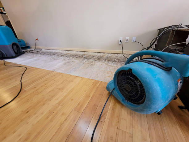 Professional Water Damage Repair technician working in Louisburg, NC